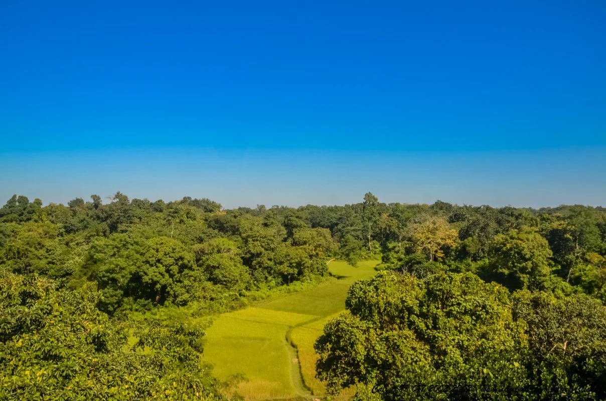 ডে লং ট্যুর যা কিনা সকালে রওনা দিয়ে সন্ধ্যায় ফিরে আসা যায়