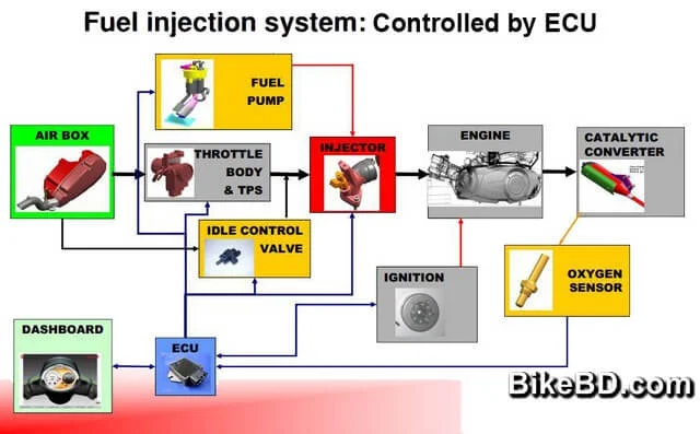 fuel-injection-system-controlled-by-ecu