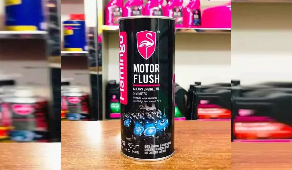 ইঞ্জিনের দীর্ঘস্থায়িত্বের জন্য ব্যবহার করতে পারেন Flamingo Motor Flush