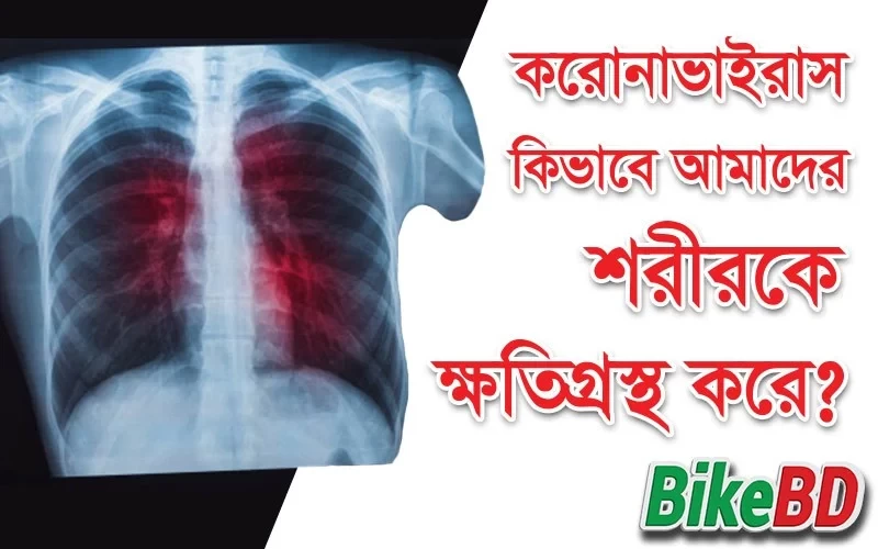 করোনাভাইরাস: কিভাবে আমাদের শরীরকে ক্ষতিগ্রস্থ করে? বিস্তারিত জানুন