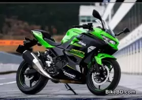 2019 Kawasaki Ninja 250 Feature Review