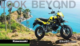 Kawasaki KSR Pro 110 Feature Review