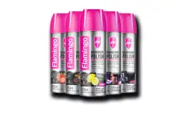 Keep Your Bike Glossy And Shiny With Flamingo Dashboard Polish