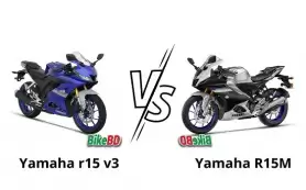 r15 v3 vs r15m