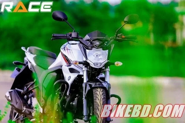 Yamaha FZS Fi  V2 Review - 2500 KM Test Ride Review
