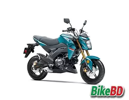 Kawasaki Z125 PRO