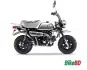 Honda Monkey 2017