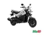 Honda Navi 2023