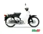 Honda Super Cub 50