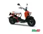Honda Zoomer 2008