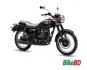 Kawasaki Estrella W 250,