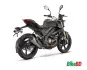 QJ-Motor-Monster-SRK-180-Black