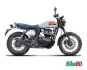 Royal-Enfield-Bear-650