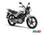 Yamaha YBR125 2015