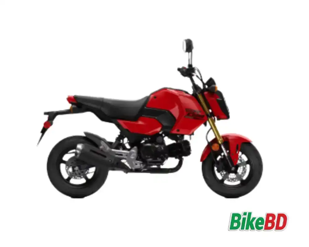 Honda Grom 50
