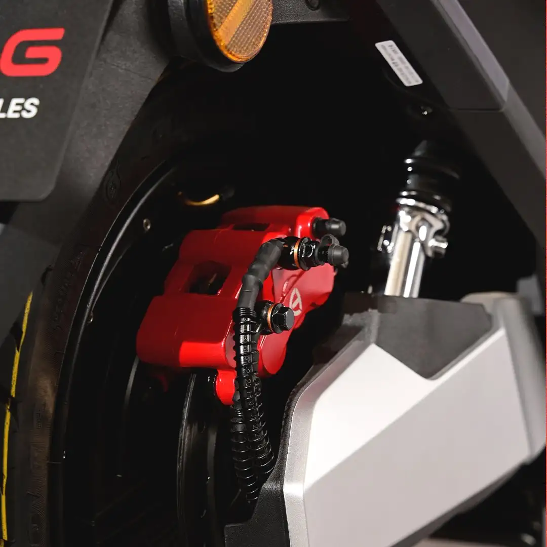 Tailg Phoenix F73 Rear Breake