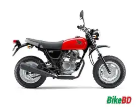 Honda Ape 100 Type D (2014)