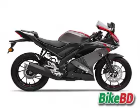 R15 V3 Indian Version Dual ABS