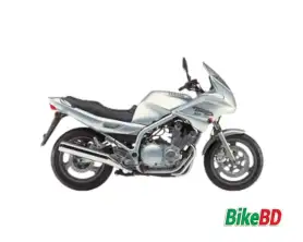 Yamaha XJ 900 S Diversion 1999